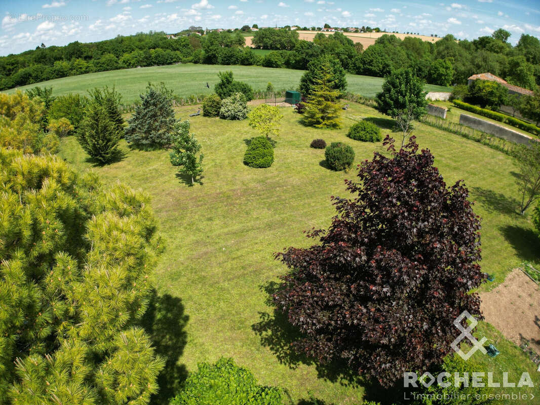 Maison 305 m² à Saint-Jean-D'angely  - photo 5