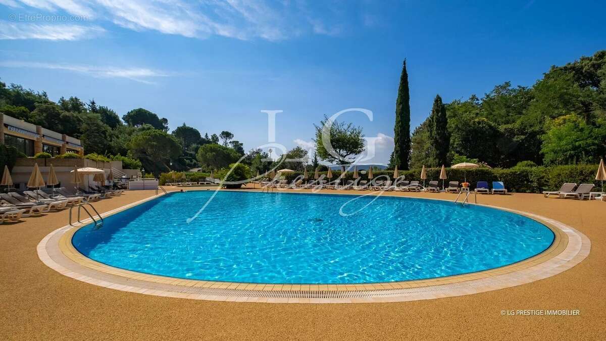 Vue degagee sur verdure et piscine - photo 9