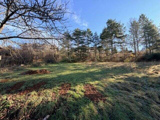 Terrain à SAINT-SAUVEUR