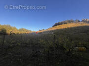 Terrain à COLLIOURE