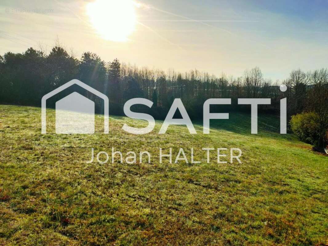 Photo 5 - Terrain à MOISSAC