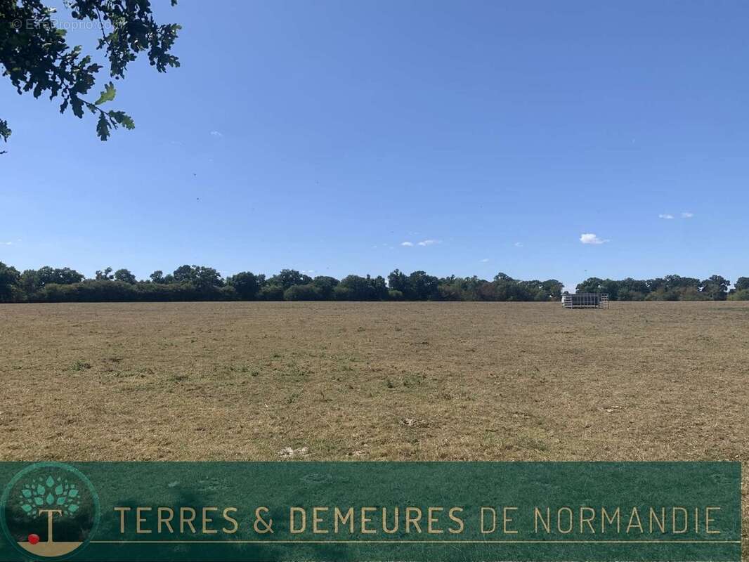 A VENDRE en NORMANDIE dans le département du CALVADOS région LE MOLAY-LITRY (14330) une exploitation agricole herbagère d'une su - photo 13