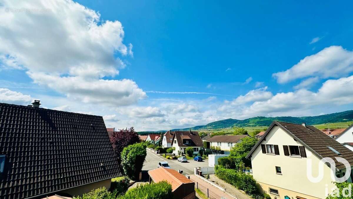 Photo 4 - Maison à EGUISHEIM