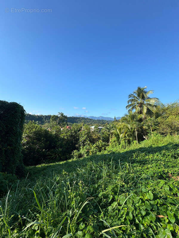 Terrain à PETIT-BOURG