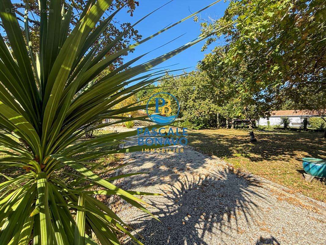 Maison à VENDAYS-MONTALIVET