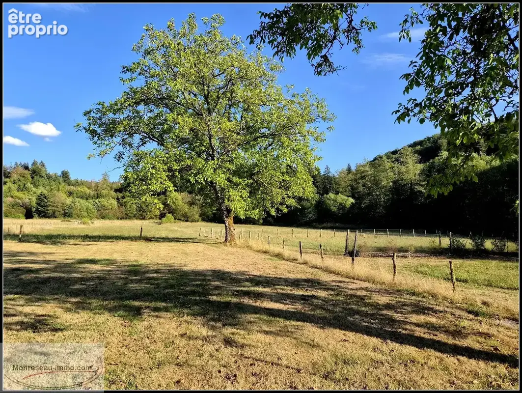 Maison unique dans la nature - 5 chambres - grand terrain - photo 13