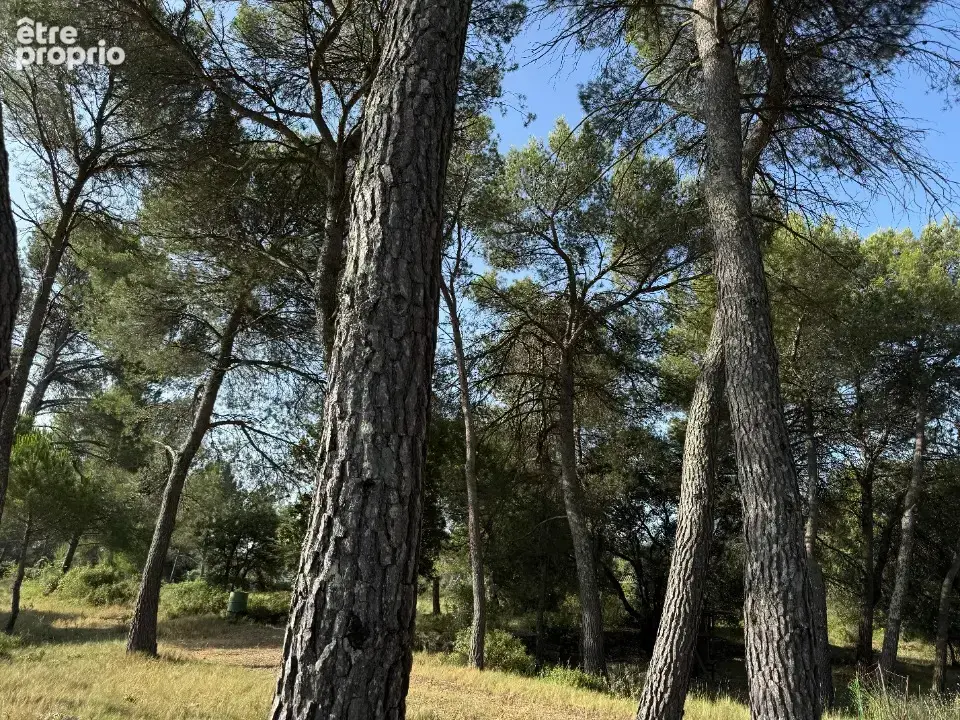 Terrain à GUZARGUES