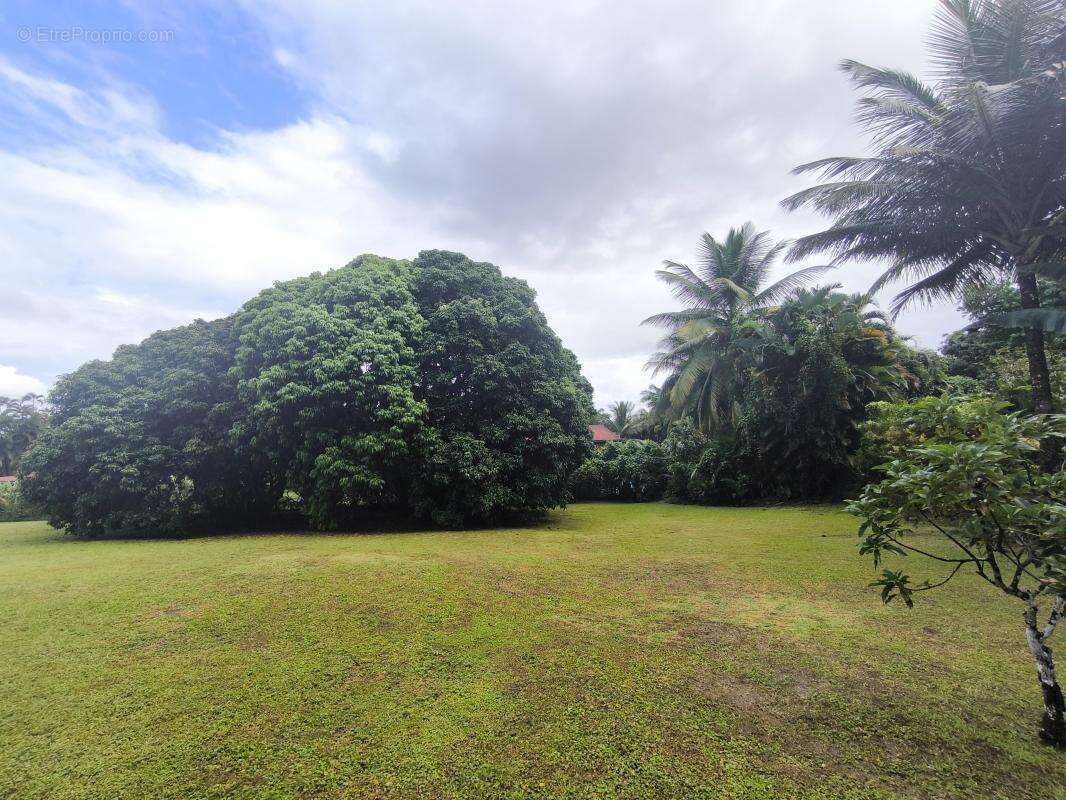 Terrain à PETIT-BOURG