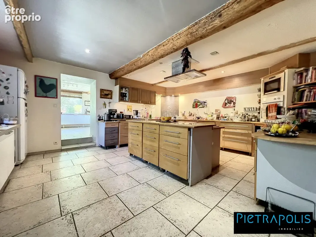 Maison 11 pièces 315 m² à vendre à Fleurieu-Sur-Saone (69250) - photo 4