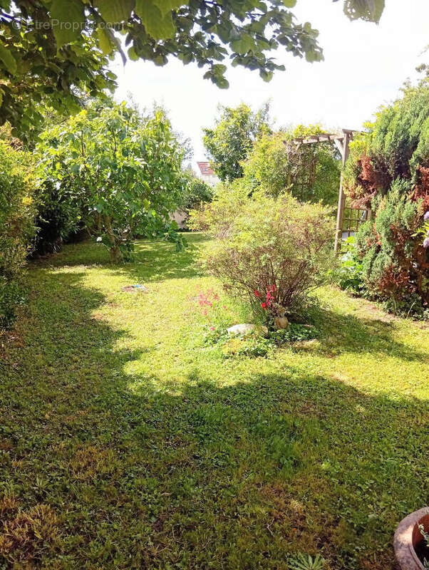 Superbe maison type loft / secteur des coteaux / environ 556 m² de terrain - photo 4