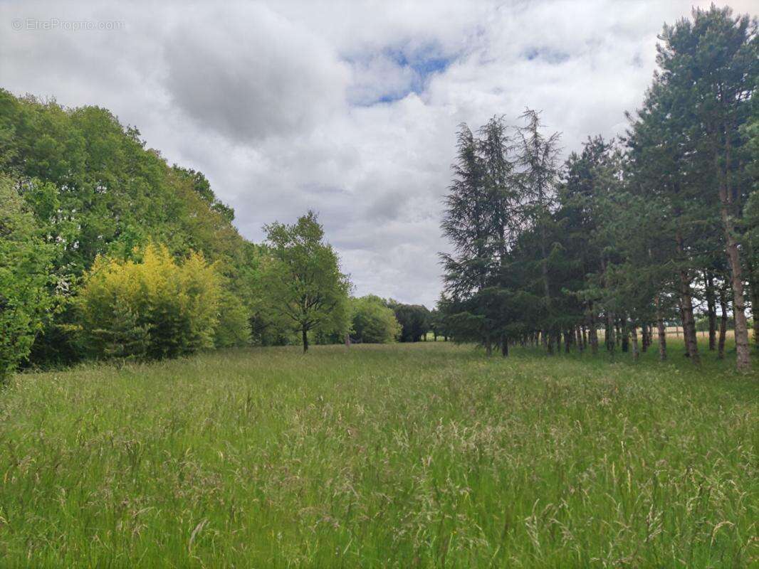 Terrain à MIGNALOUX-BEAUVOIR