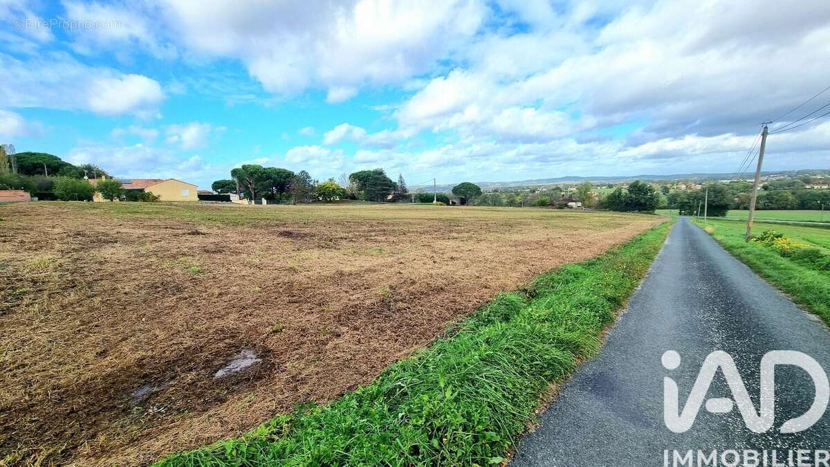 Photo 3 - Terrain à ALBI