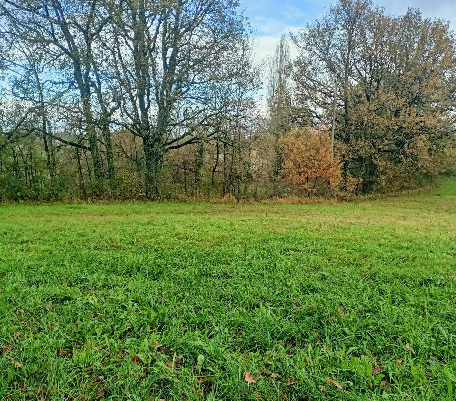 Terrain à TERRASSON-LAVILLEDIEU