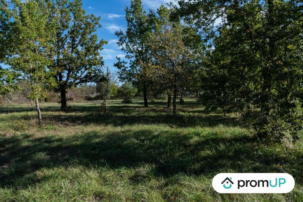 Terrain à LALBENQUE