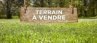 Terrain à SAVIGNE-SUR-LATHAN