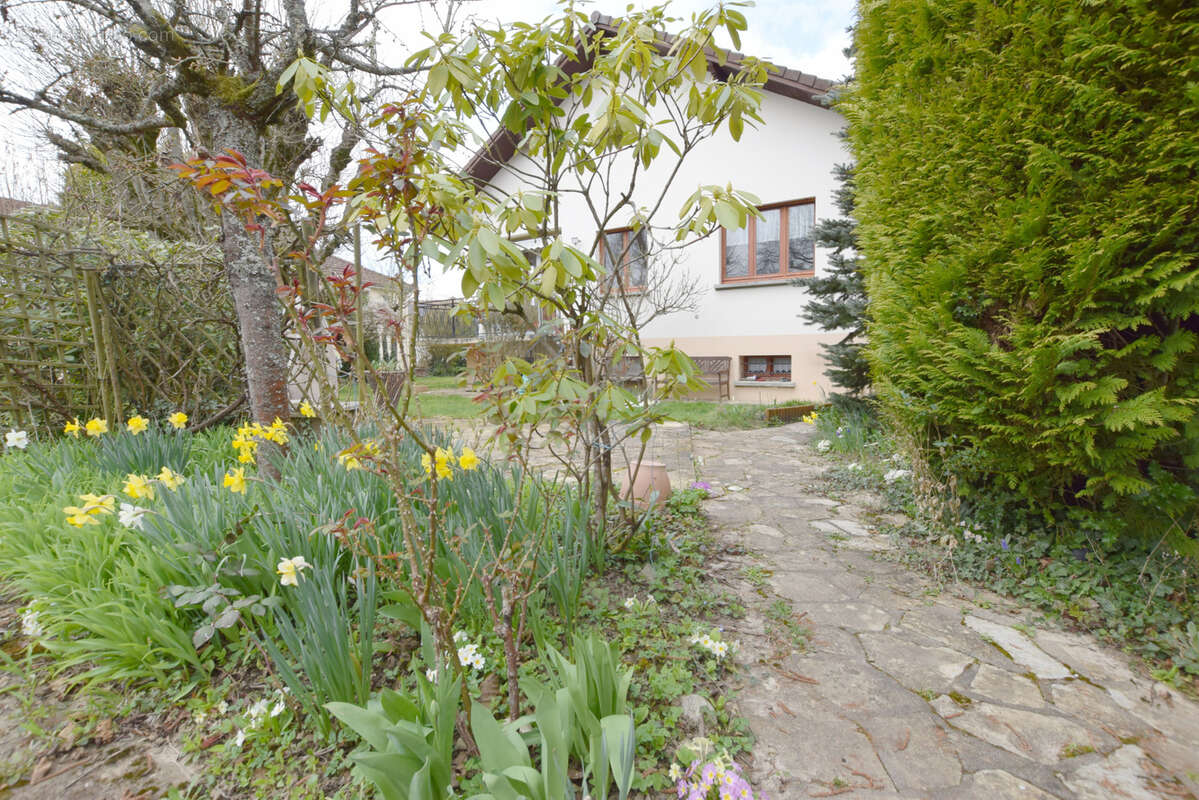 Maison à MONTBELIARD