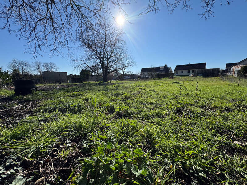 Terrain à SEICHES-SUR-LE-LOIR