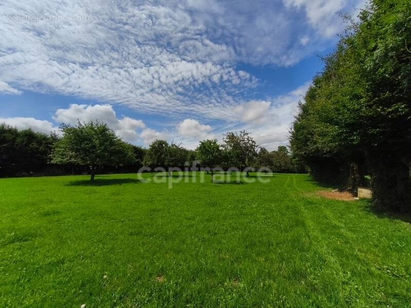 À Échauffour (61370), découvrez cette spacieuse maison familiale de 135 m², offrant 4 chambres, un vaste jardin paysagé de 7 490 - photo 11