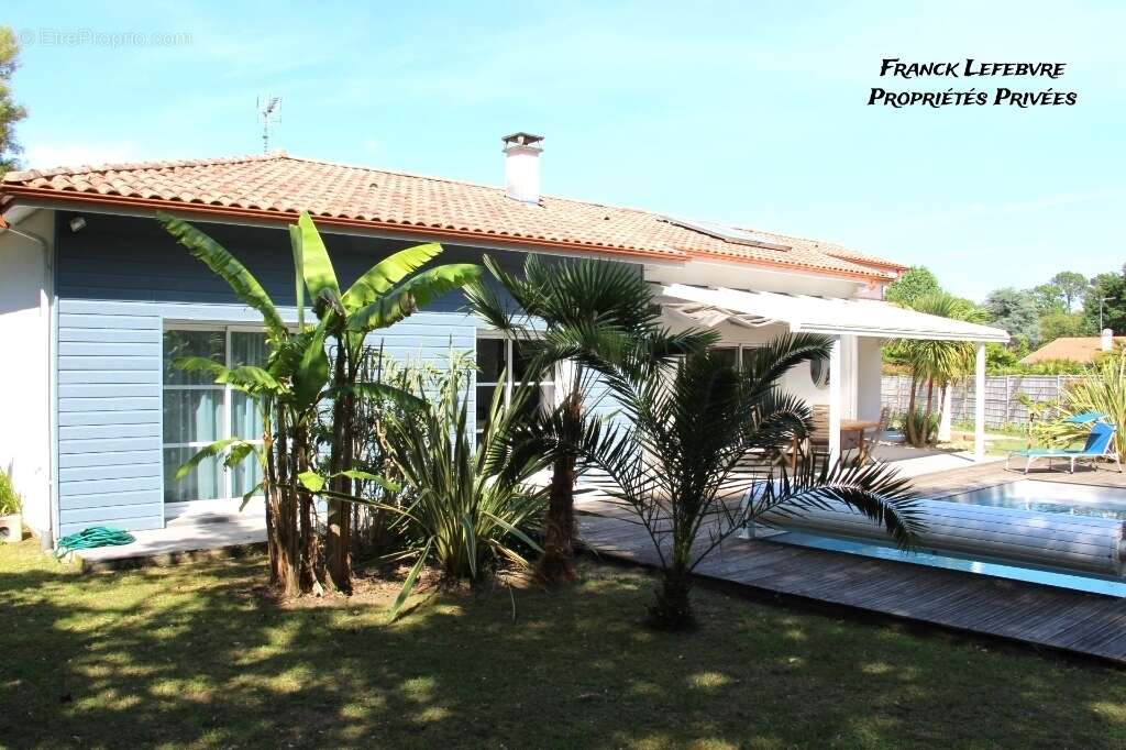 Maison à MONTESCOT
