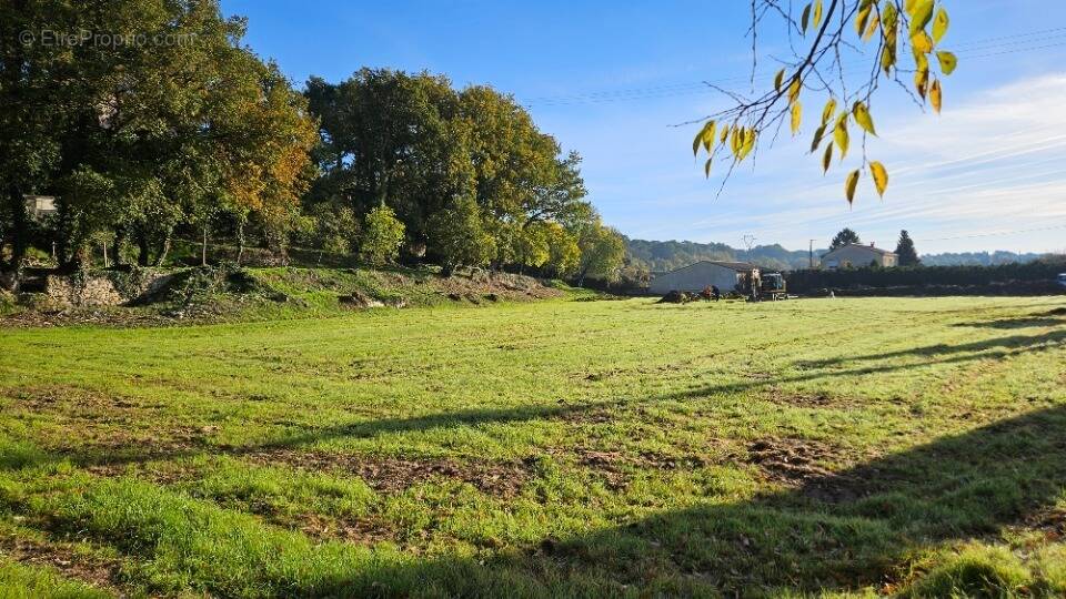 Terrain à VILLELAURE
