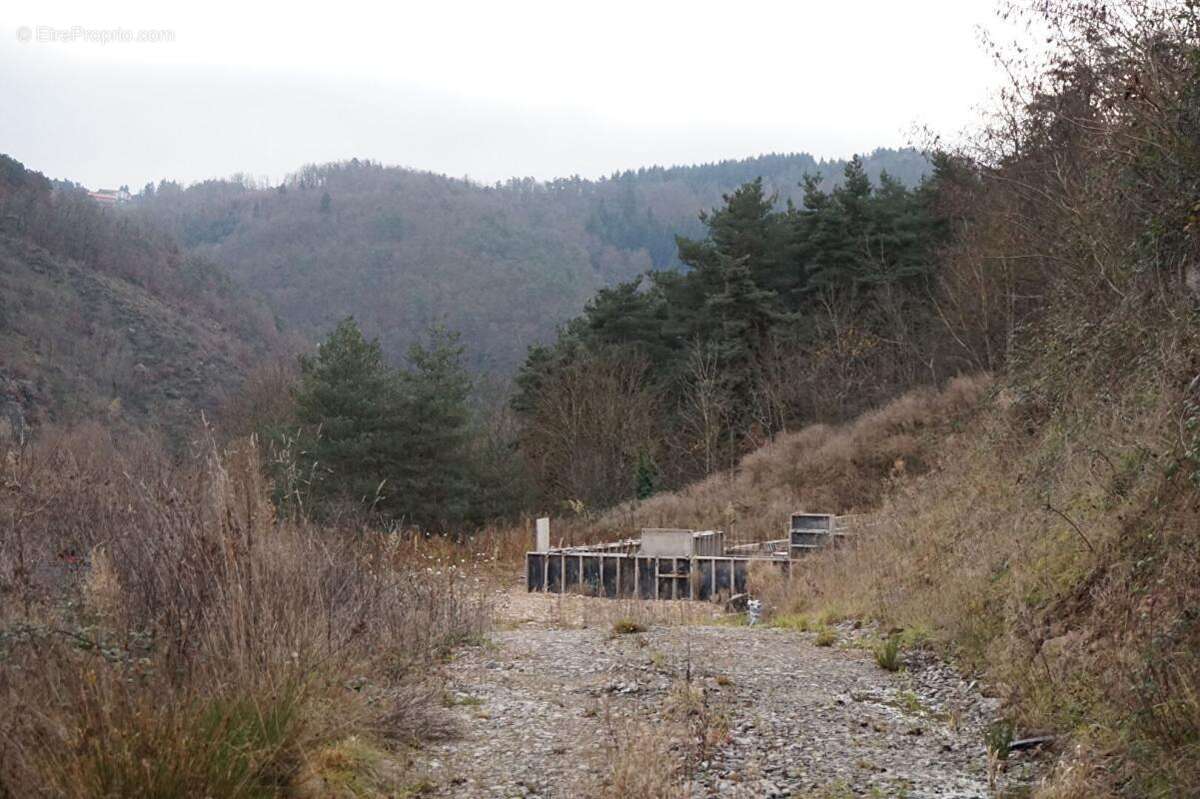 Terrain à AUREC-SUR-LOIRE