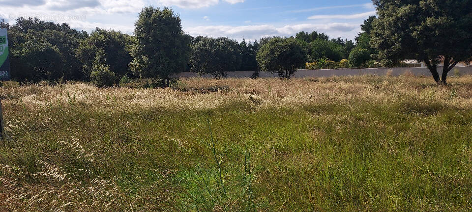 Terrain à CHATEAUNEUF-DE-GADAGNE
