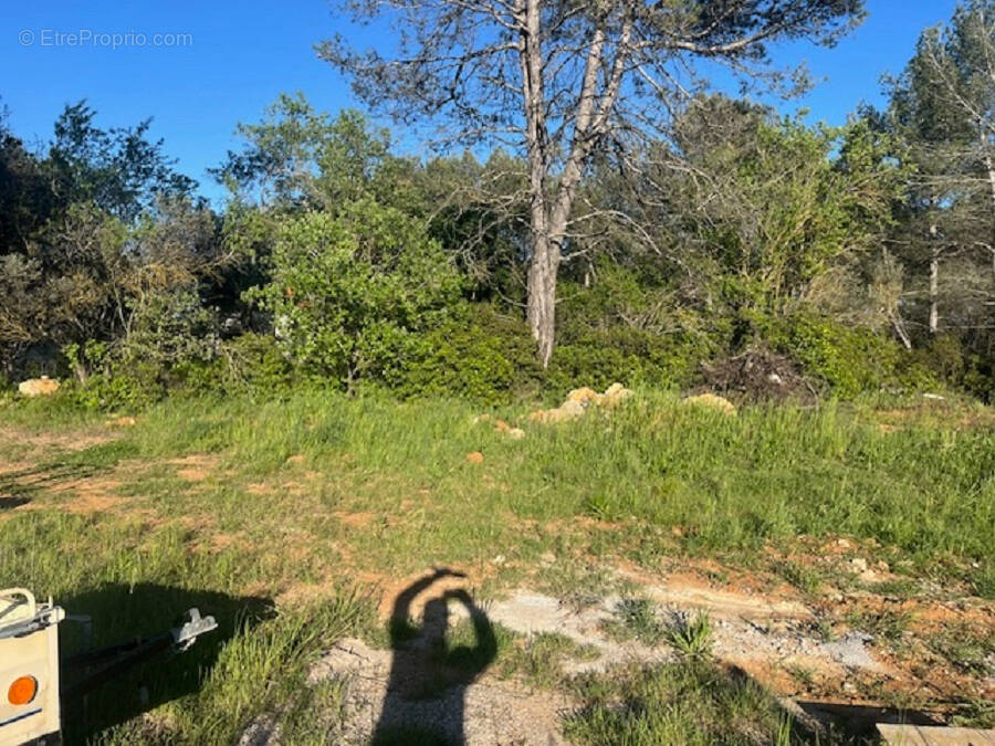 Terrain à SAINT-MAXIMIN-LA-SAINTE-BAUME