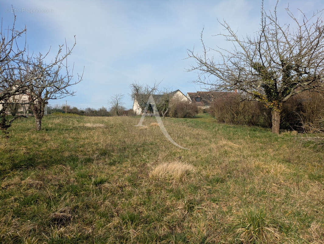 Terrain à ONZAIN