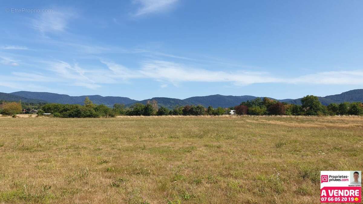 Terrain 530 m² - photo 2