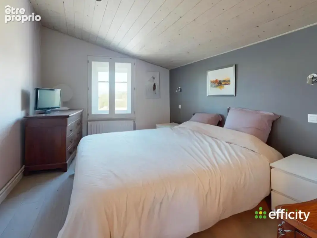 Maison 8 pièces 210 m² à vendre à Saint-Didier-Sur-Chalaronne (01140) - photo 8