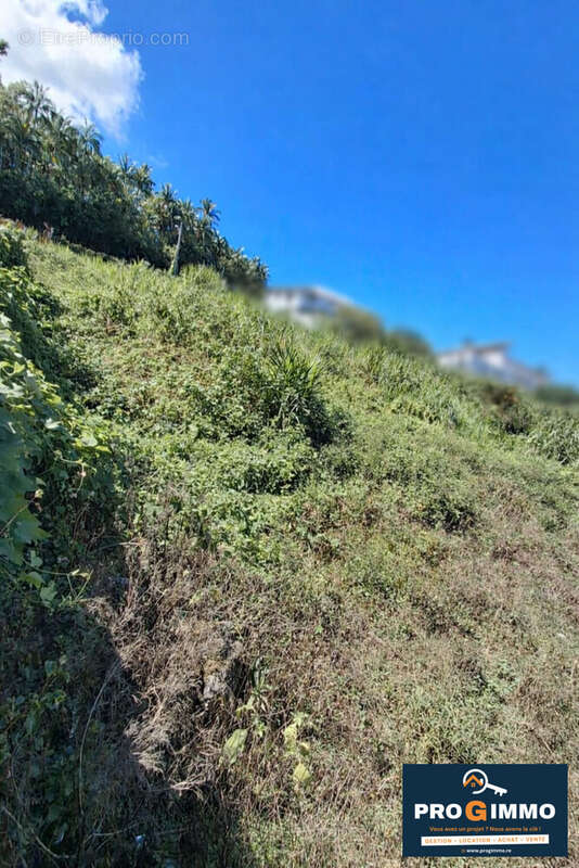 Terrain à PETITE-ILE