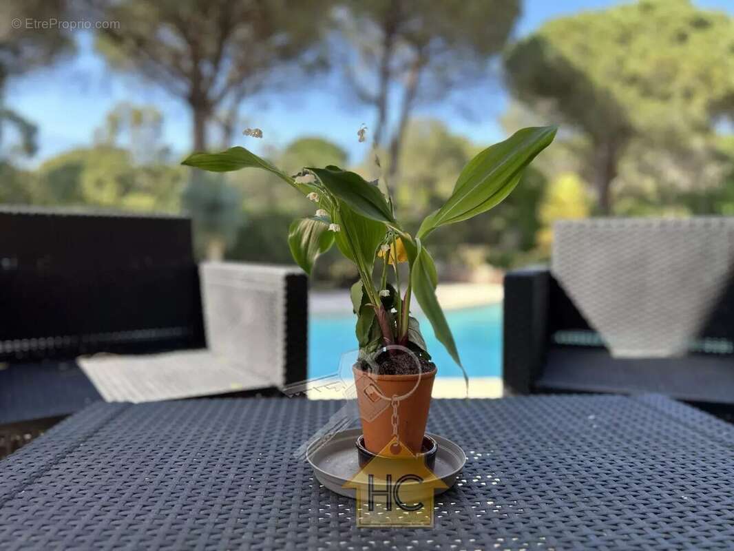 Maison à SAINT-RAPHAEL