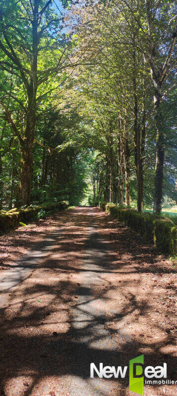 Exceptionnel Domaine sur 9ha en bordure d'étang - photo 28