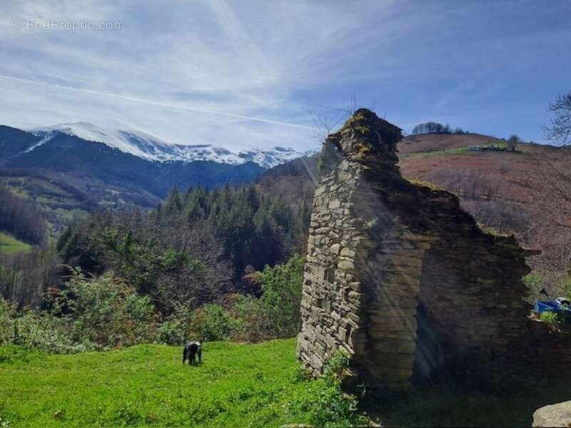 Grange a renover germs sur l'oussouet (65) - photo 4