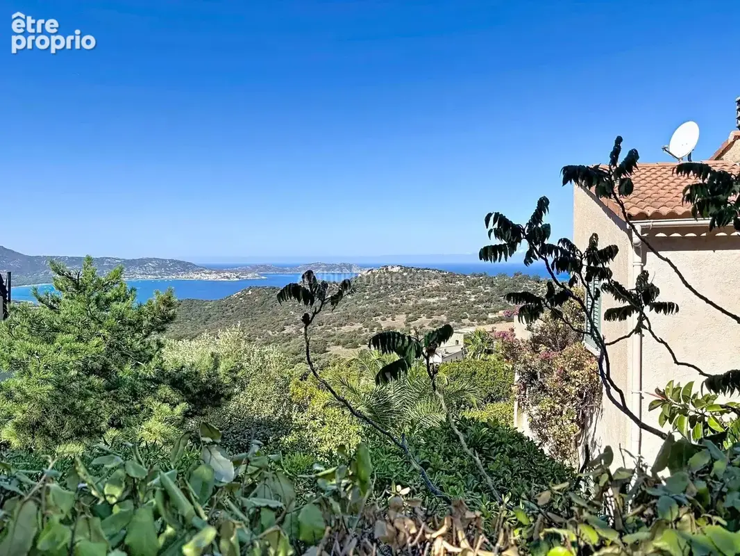 Maison à LUMIO