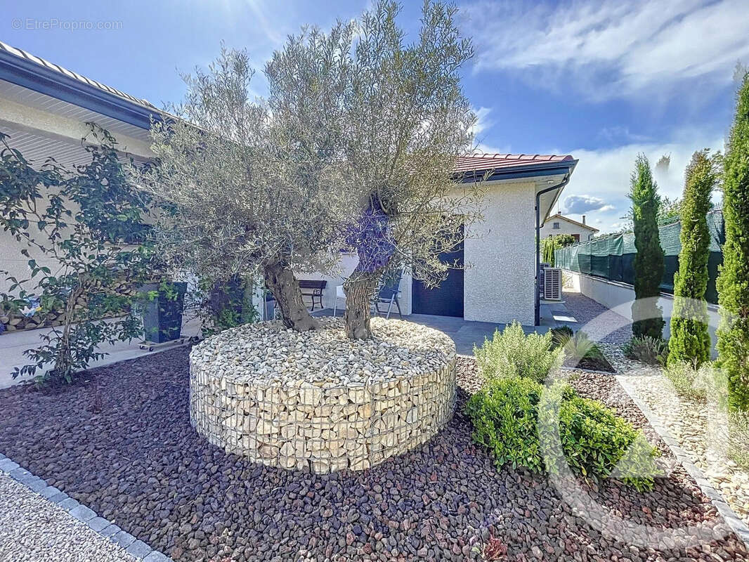 Maison à CHARVIEU-CHAVAGNEUX