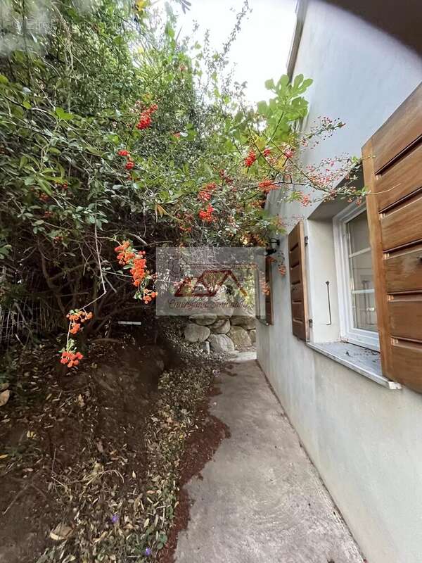 Maison à MONTEGROSSO