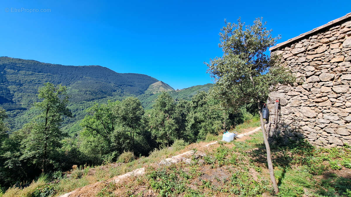 Autre à SAINT-ROMAN-DE-CODIERES