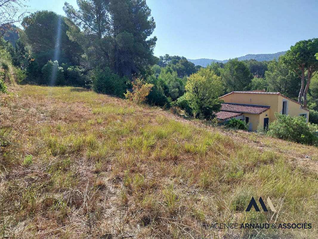 Terrain à LE CASTELLET