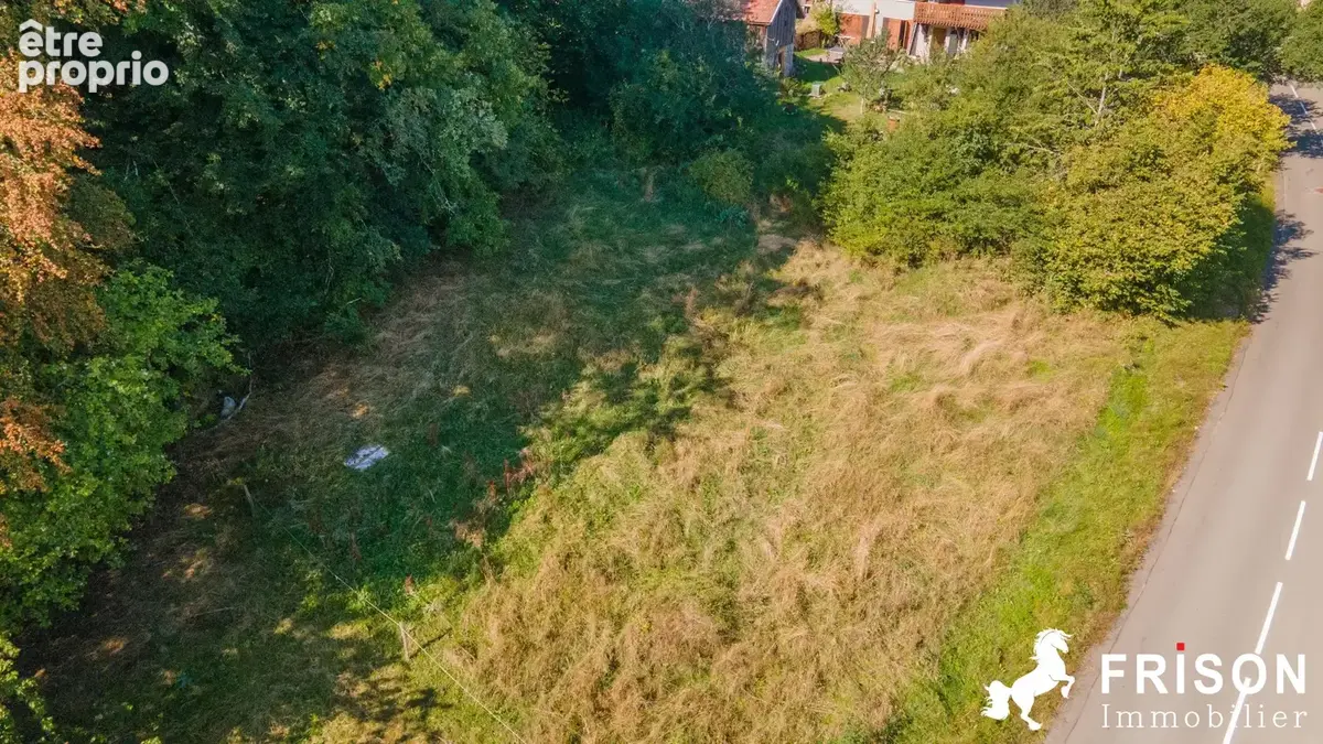 Terrain 1 124 m² à vendre à Thollon-Les-Memises (74500) - photo 4