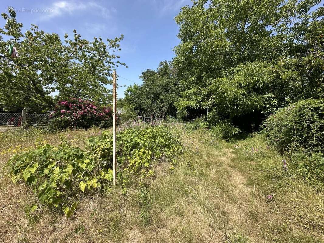 Maison à LE MESNIL-SAINT-DENIS