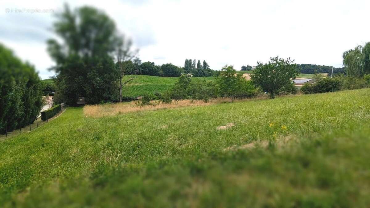 Un paysage verdoyant avec des arbres et des champs sous un ciel nuageux. - Terrain à LA SAUVETAT-DE-SAVERES
