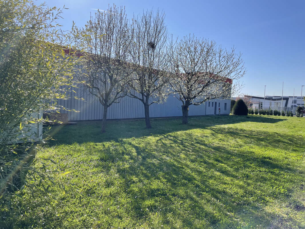 Commerce à WITTENHEIM