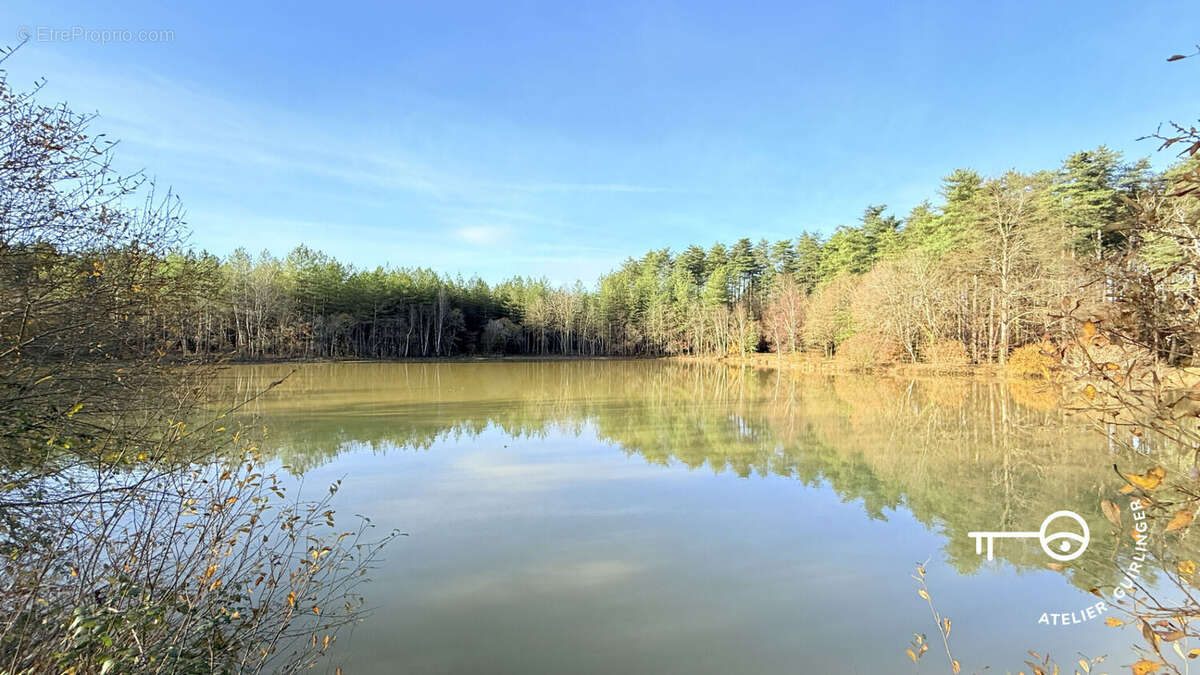 Terrain à NEUNG-SUR-BEUVRON
