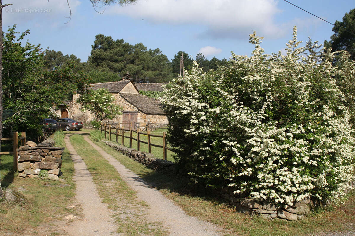 En plein coeur des cévennes authentique mas du XIIème siècle sur 7 hectares de terre - photo 12