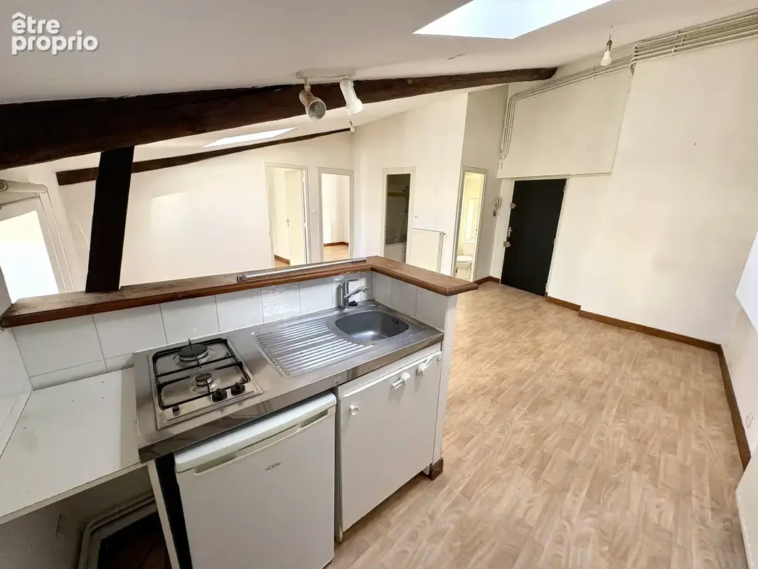 Appartement t3 / dernier étage / 48 m2 / hyper-centre / place gaillard / place de jaude / clermont-ferrand - photo 3