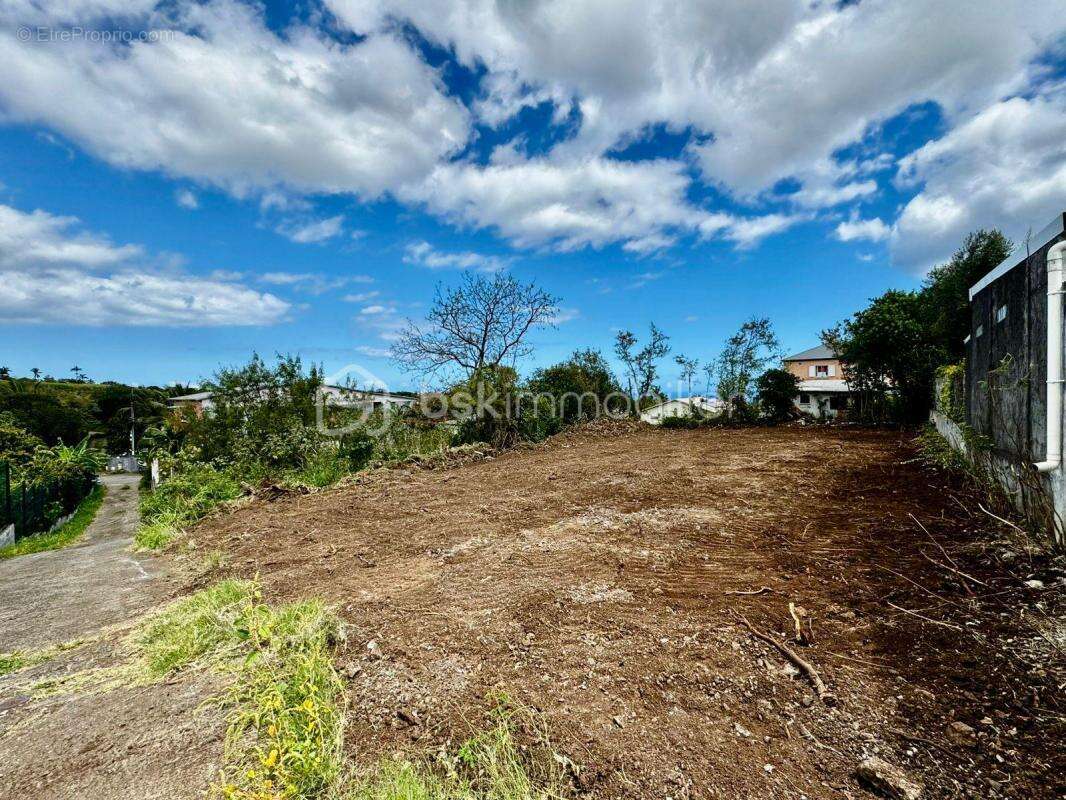 Terrain à SAINT-PIERRE