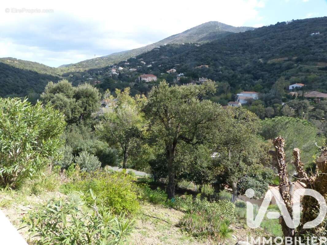 Photo 5 - Maison à LE BOULOU