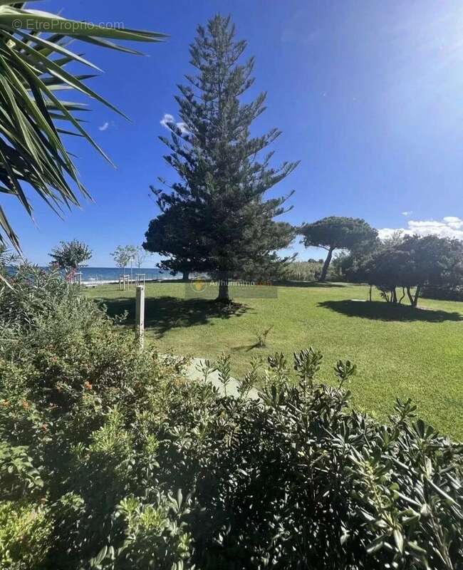 Appartement à SANTA-LUCIA-DI-MORIANI