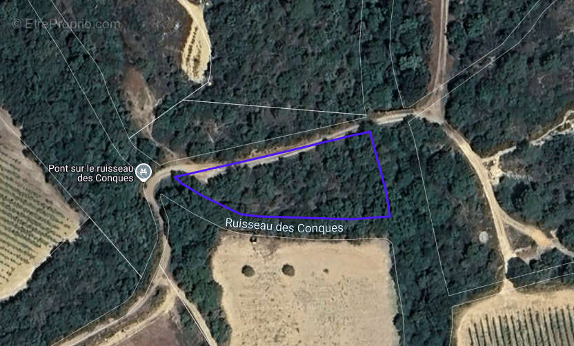 Terrain à LA CAUNETTE